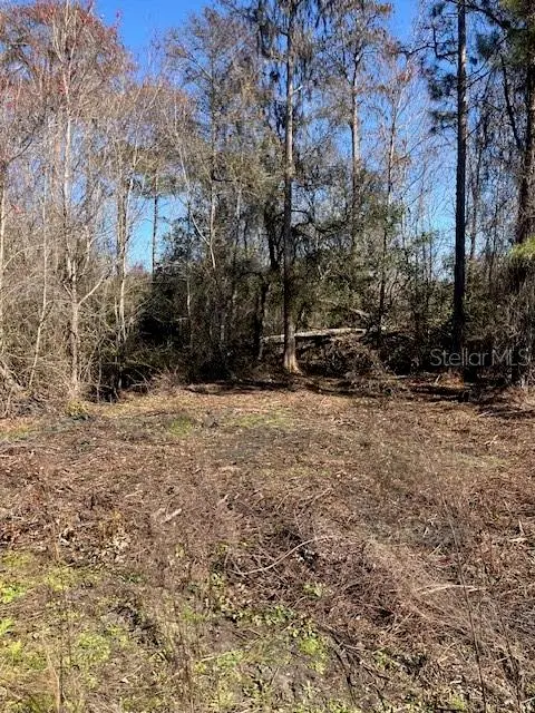 1881 HAZELNUT ST, Bunnell, FL 32110