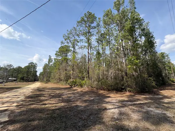 4385 BONDARENKO RD, Keystone Heights, FL 32656