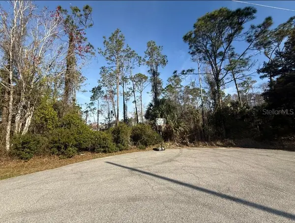 3 KALMAR PL, Palm Coast, FL 32164