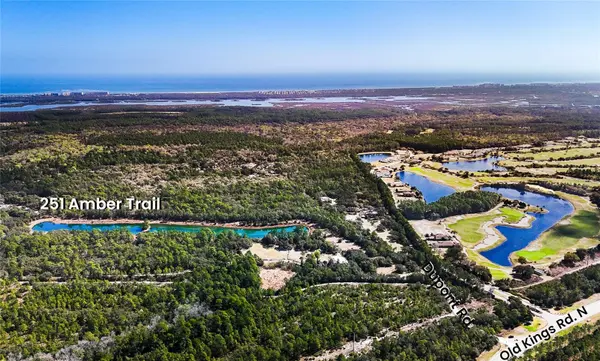 251 AMBER TRL, Palm Coast, FL 32137