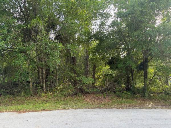 11 PATRICK PL, Palm Coast, FL 32164