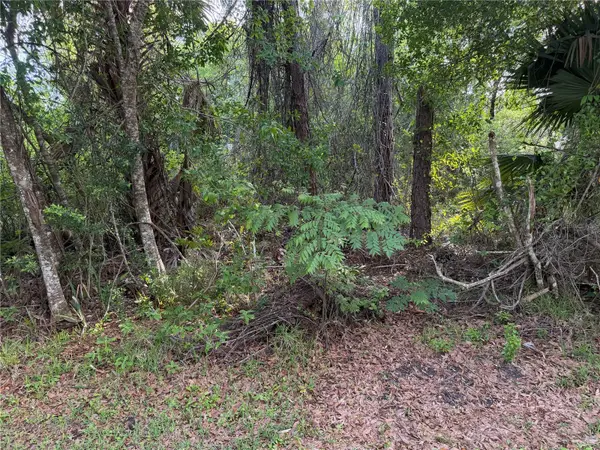 11 PATRICK PL, Palm Coast, FL 32164