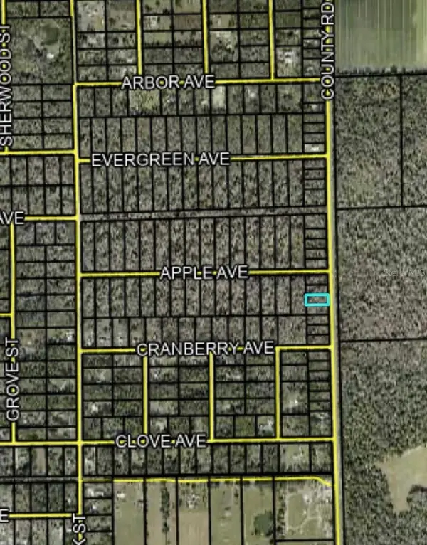 2166 CR-305, Bunnell, FL 32110