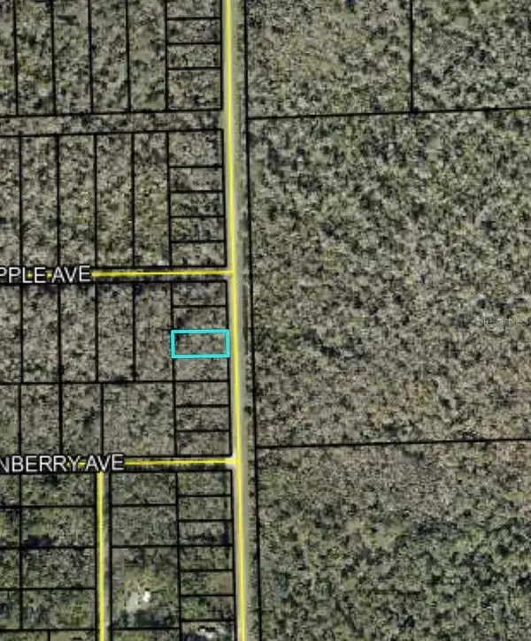 2166 CR-305, Bunnell, FL 32110