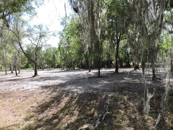COUNTY ROAD 309, Crescent City, FL 32112