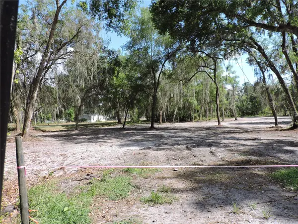 COUNTY ROAD 309, Crescent City, FL 32112