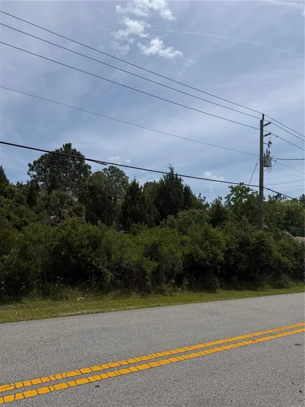 174 BIRD OF PARADISE DR, Palm Coast, FL 32137