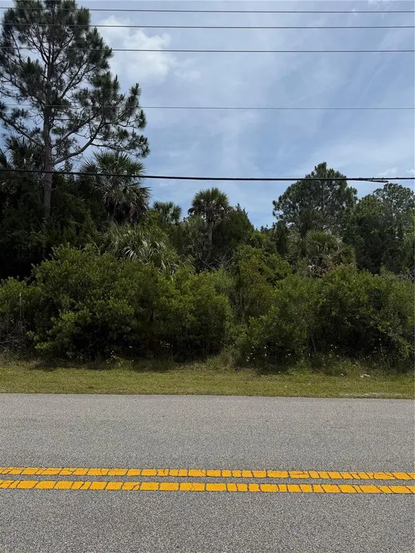 174 BIRD OF PARADISE DR, Palm Coast, FL 32137