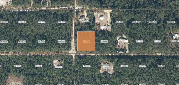 XX BLOSSOM, Florahome, FL 32140