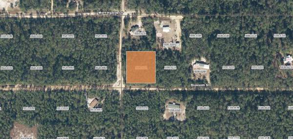 XX BLOSSOM, Florahome, FL 32140