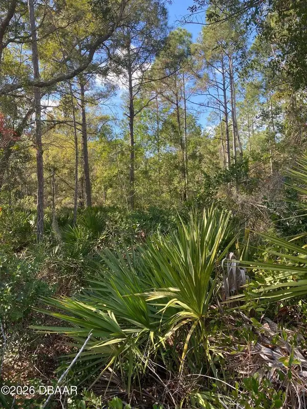 820 OLD BUBBLY RD, Pierson, FL 32180