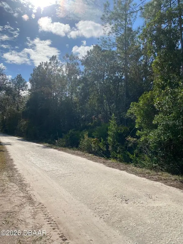 820 OLD BUBBLY RD, Pierson, FL 32180