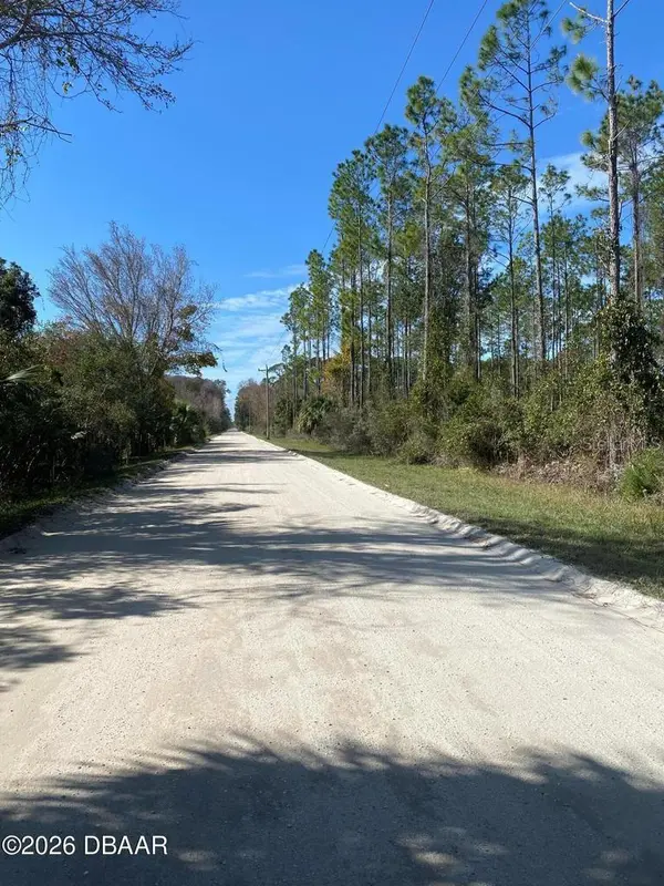 820 OLD BUBBLY RD, Pierson, FL 32180