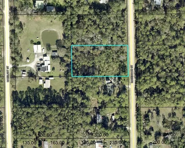 1352 ROSEWOOD ST, Bunnell, FL 32110