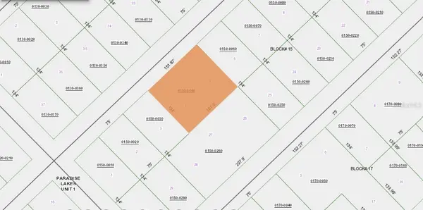 207 SE 2ND ST, Georgetown, FL 32139