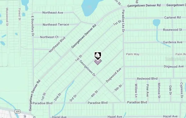 207 SE 2ND ST, Georgetown, FL 32139
