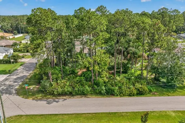 0 RYAN DR, Palm Coast, FL 32164
