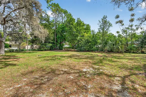 705 MIKE AVE, Fruitland Park, FL 34731
