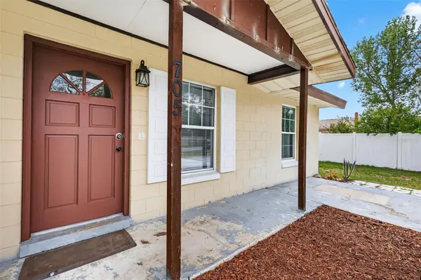 705 MIKE AVE, Fruitland Park, FL 34731