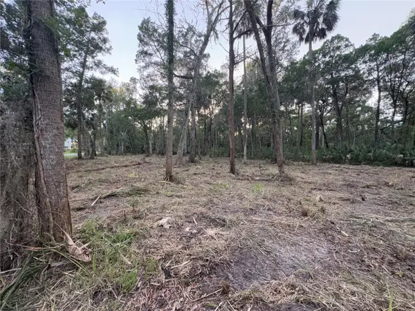 11905 W ELDRED LN, Homosassa, FL 34448