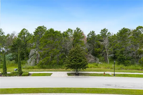 16409 PENDIO DR, Montverde, FL 34756
