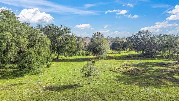 TRACT 1 - CR 221, Wildwood, FL 34785