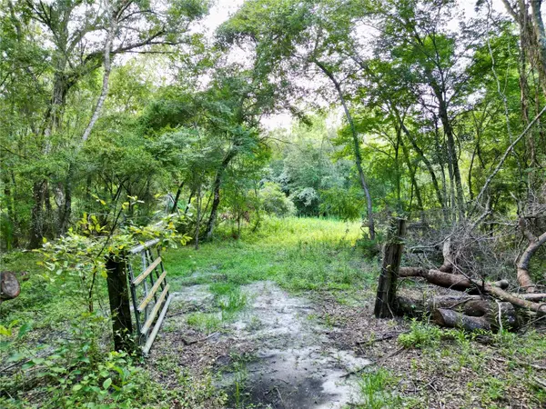TBD SW 31ST WAY WAY, Webster, FL 33597