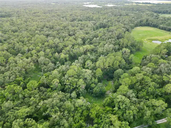 TBD SW 31ST WAY WAY, Webster, FL 33597