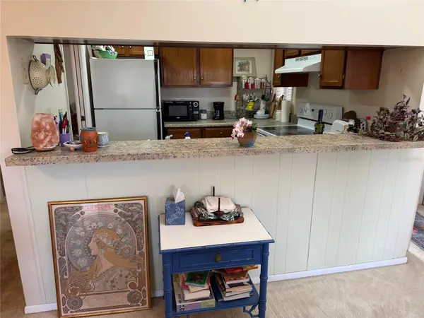 1051 S HIGHLAND ST #3D, Mount Dora, FL 32757