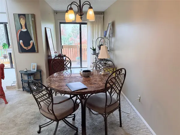 1051 S HIGHLAND ST #3D, Mount Dora, FL 32757