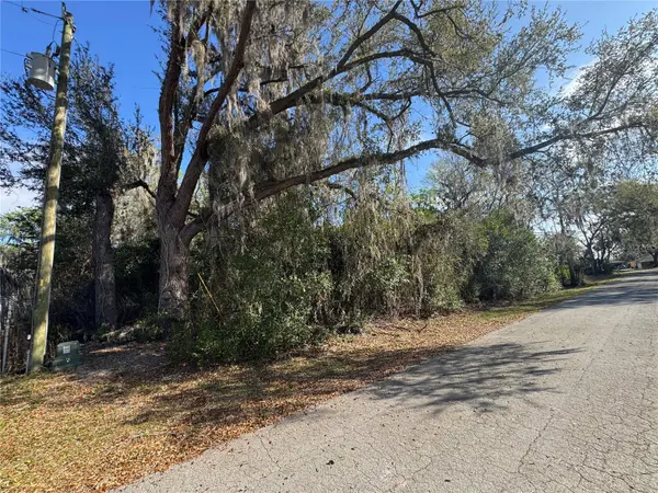 CR 482C, Lake Panasoffkee, FL 33538