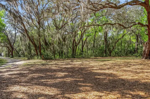 2917 LAKE GRIFFIN RD, Lady Lake, FL 32159