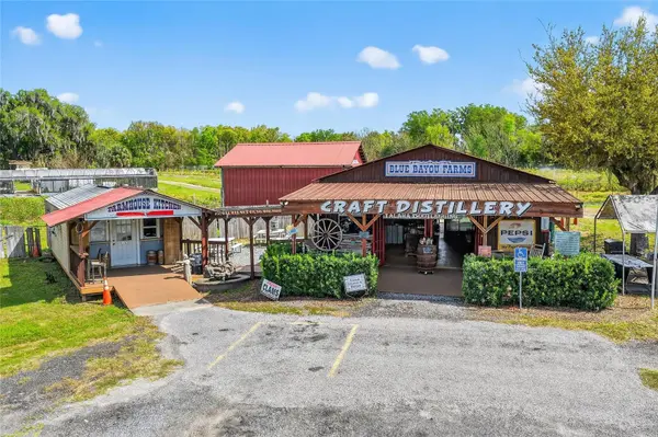 26921 BLOOMFIELD AVE, Yalaha, FL 34797