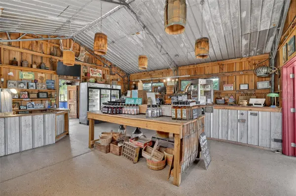 26921 BLOOMFIELD AVE, Yalaha, FL 34797