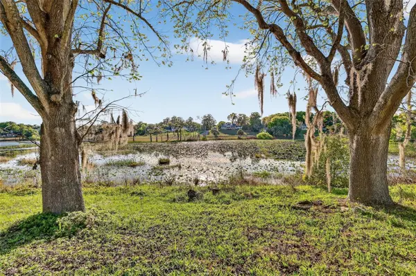 1039 LAKE GRACIE DR, Eustis, FL 32726