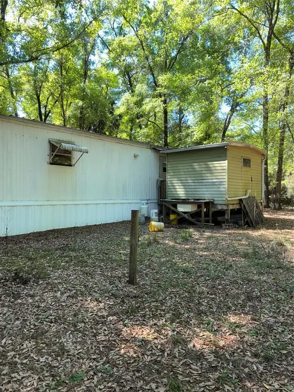 24533 PINK PANTHER RD, Paisley, FL 32767
