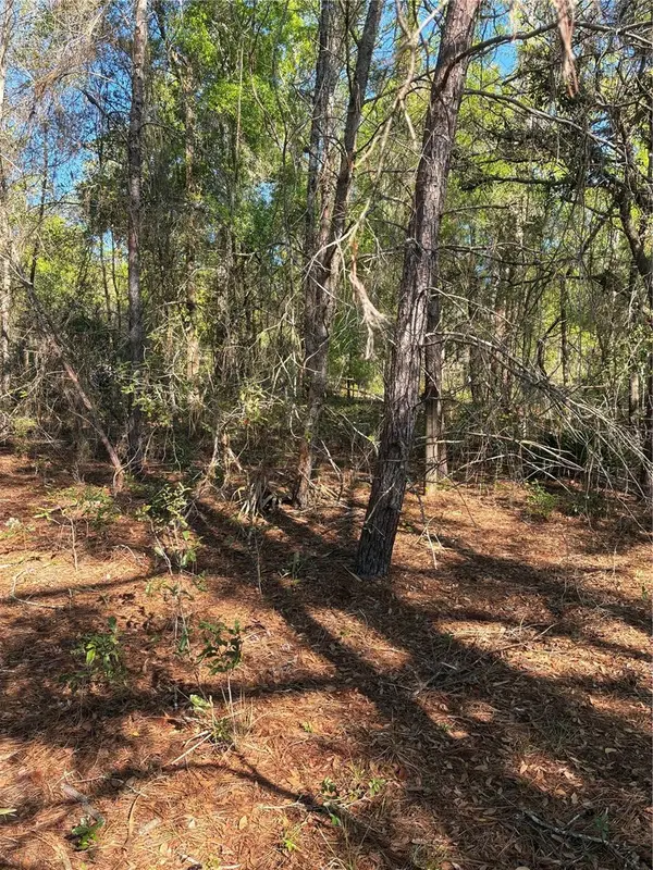 24533 PINK PANTHER RD, Paisley, FL 32767