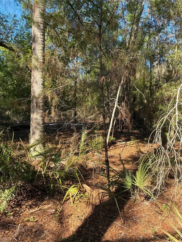 24533 PINK PANTHER RD, Paisley, FL 32767