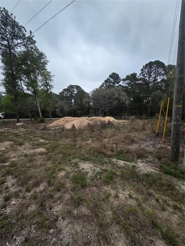 127 SEQUOIA TRL, Ocklawaha, FL 32179