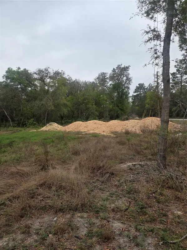 127 SEQUOIA TRL, Ocklawaha, FL 32179