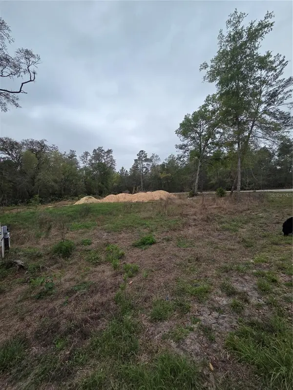 127 SEQUOIA TRL, Ocklawaha, FL 32179