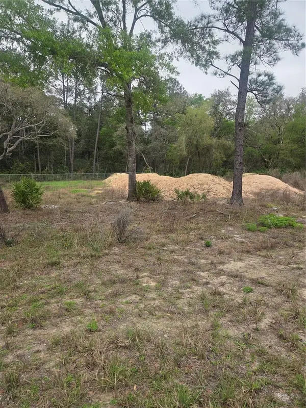 127 SEQUOIA TRL, Ocklawaha, FL 32179