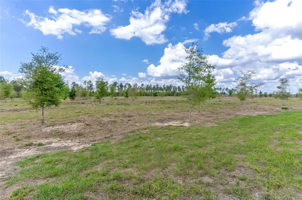 SE 170TH AVE, Weirsdale, FL 32195