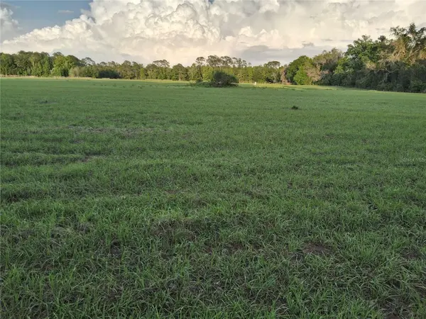 1613 NE 12TH AVE, Sumterville, FL 33585