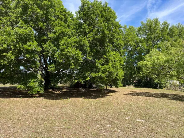 15121 SE 175TH ST, Weirsdale, FL 32195