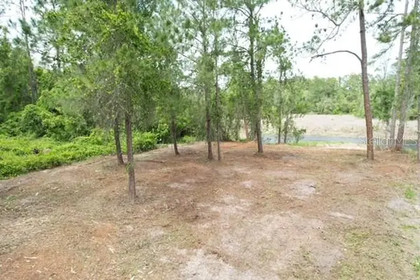 LOCUST RUN DR, Ocala, FL 34472