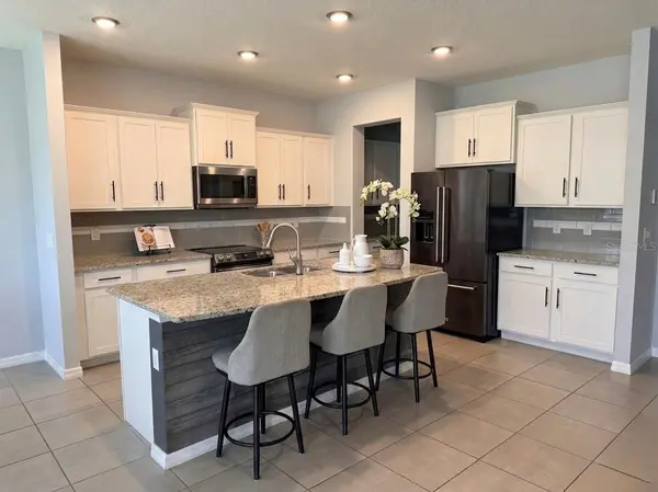 16910 OVAL RUM DR, Wimauma, FL 33598