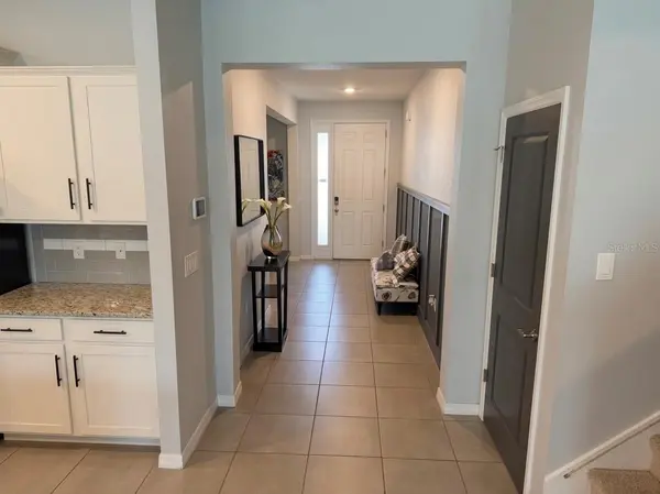 16910 OVAL RUM DR, Wimauma, FL 33598