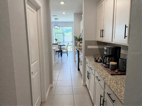 16910 OVAL RUM DR, Wimauma, FL 33598