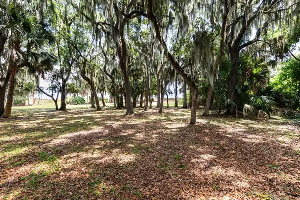 TBD DEER ISLAND RD, Tavares, FL 32778